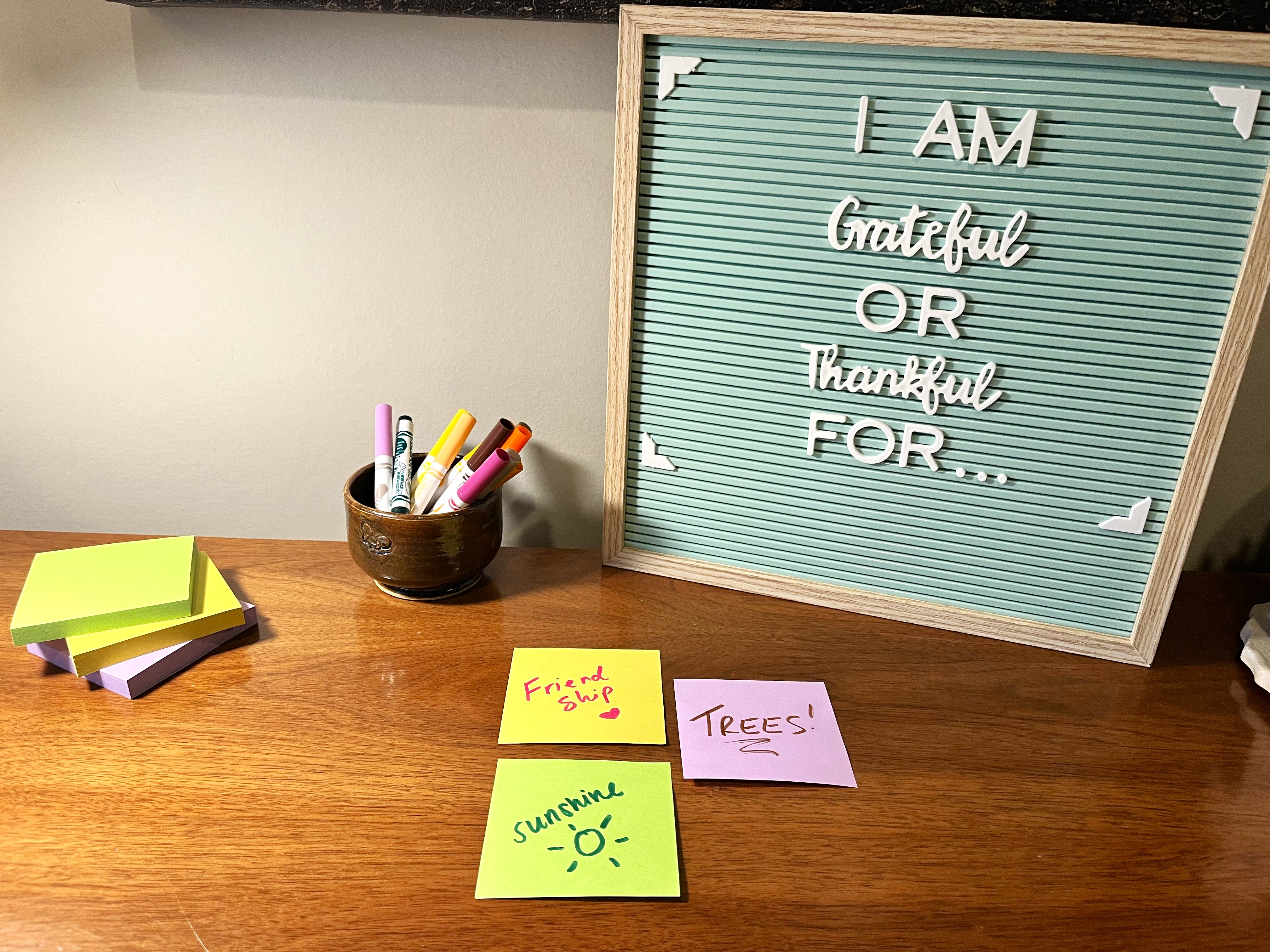 I AM Grateful OR Thankful FOR...
Notes written by clients to help in their mental health therapy journey. "friendship, trees, sunshine"